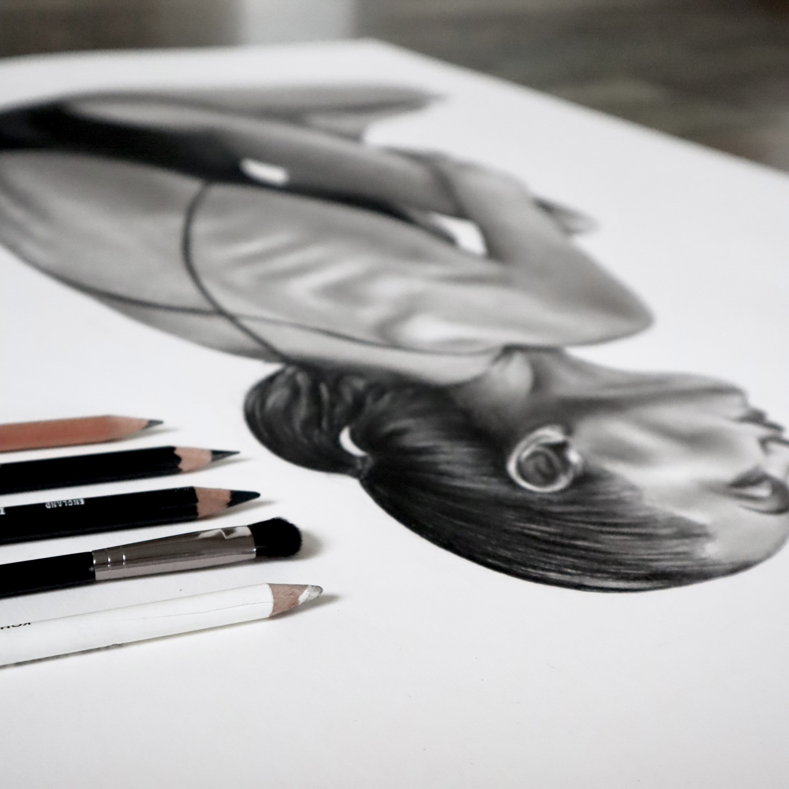 Realistic drawings